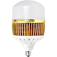 Bombillas LED 100W