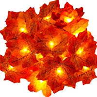 Iluminacion Exterior