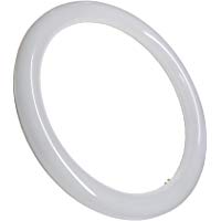 Tubos LED Circulares o Redondos